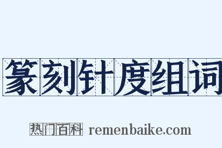 篆刻针度组词是什么意思的图片